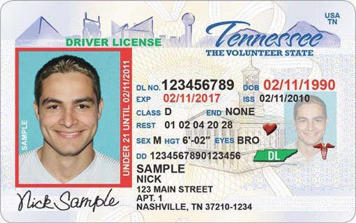 Nashville Tennessee Fake Id